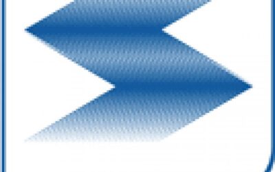 ELECCIONES EN SEGURISA BARCELONA
