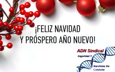 FELICES FIESTAS !!!