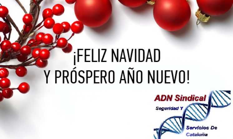 FELICES FIESTAS !!!