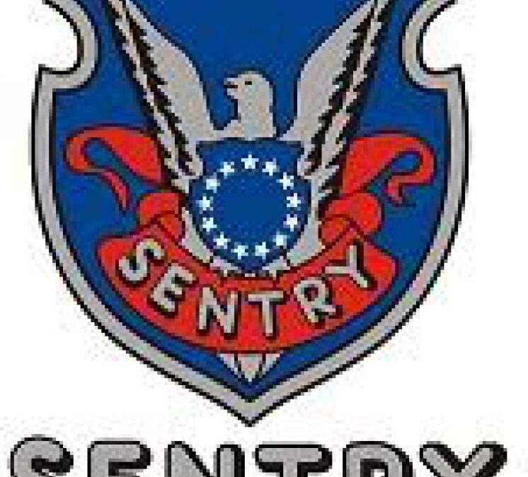 ELECCIONES SENTRY SEGURIDAD
