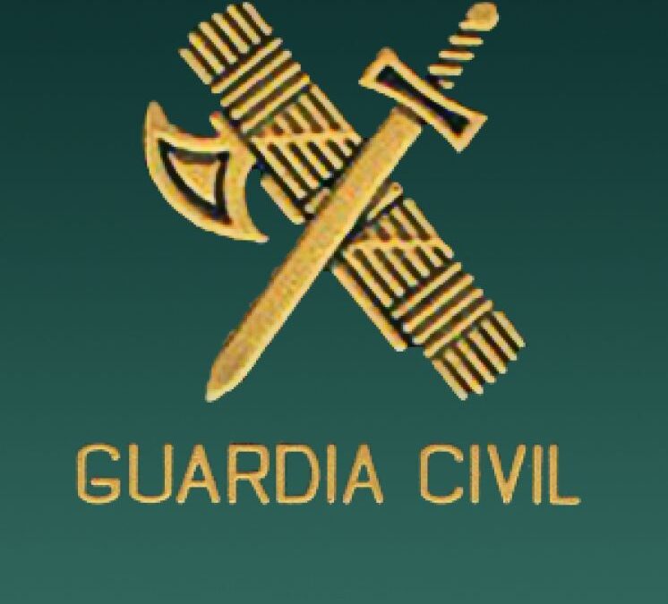 PARA RENOVAR LAS LICENCIAS DE ARMAS