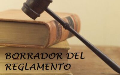 BORRADOR DEL REGLAMENTO DE SEGURIDAD PRIVADA