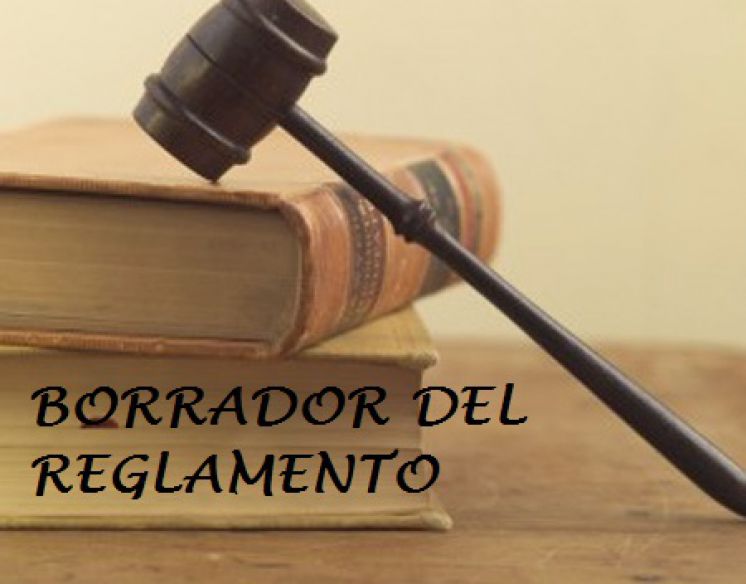 BORRADOR DEL REGLAMENTO DE SEGURIDAD PRIVADA