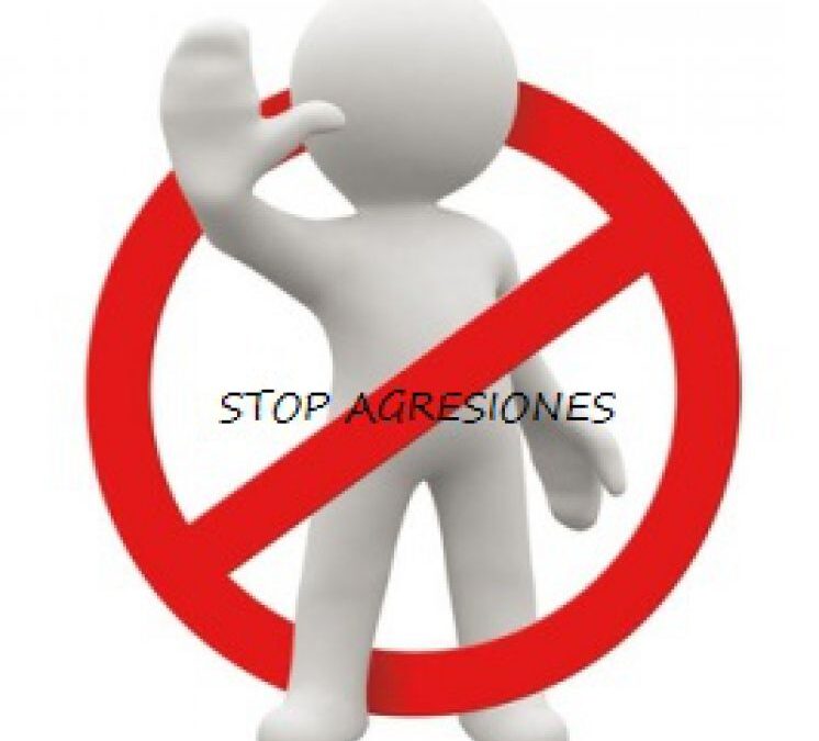 SOBRE LAS AGRESIONES HACIA LOS VIGILANTES