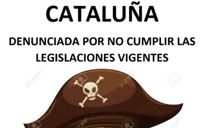 COMIENZA LA FIESTA EN CLECE SEGURIDAD