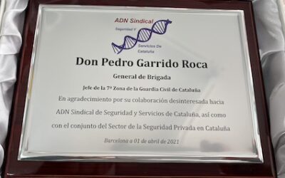 SENCILLAMENTE, GRACIAS