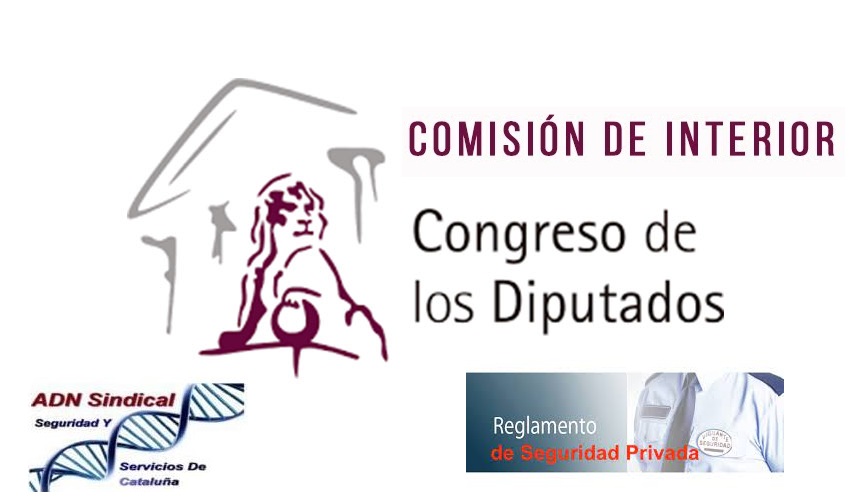 REGLAMENTO DE SEGURIDAD PRIVADA