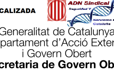 Desistimiento de la licitación “Servei de vigilància i seguretat a les dependències del Departament d’Acció Exterior i Govern Obert de la Generalitat de Catalunya”