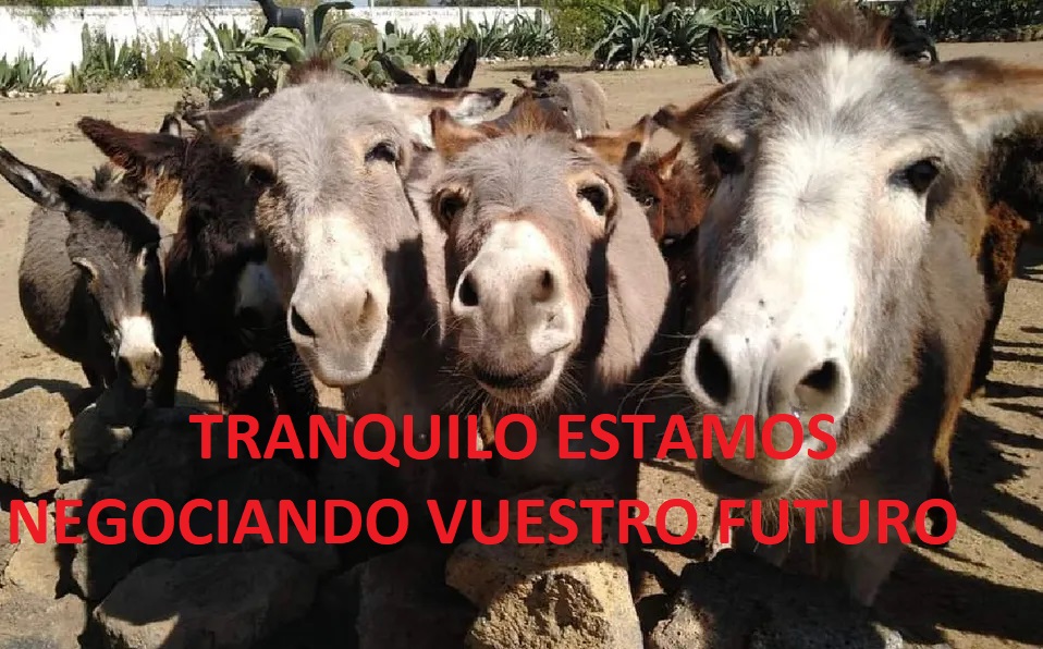 ACTA Nº 4 SUMA Y SIGUE