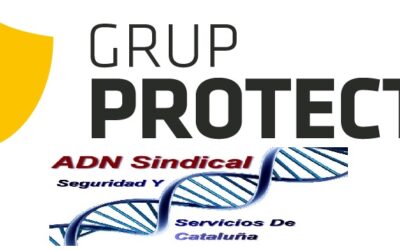 EXITO EN ELECCIONES PROTECTA VIGILANCIA
