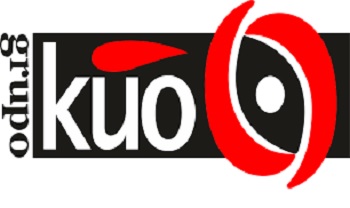 ELECCIONES GRUPO KUO SECURITY