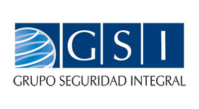 GSI PROFESIONAL SEGURIDAD SANCIONADA