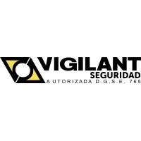 VIGILANT S.A SANCIONADA POR OBSTACULIZAR UN PROCESO ELECTORAL