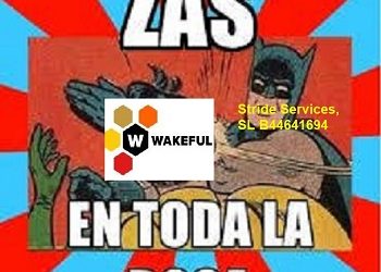 WAKEFUL OTRA VEZ PILLADA POR LA INSPECCIÓN DE TRABAJO