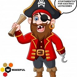 LA PIRATA WAKEFULL SEGURIDAD EXCLUIDA POR DEUDAS CON LA TGSS